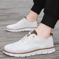 Mode Classic Trainer